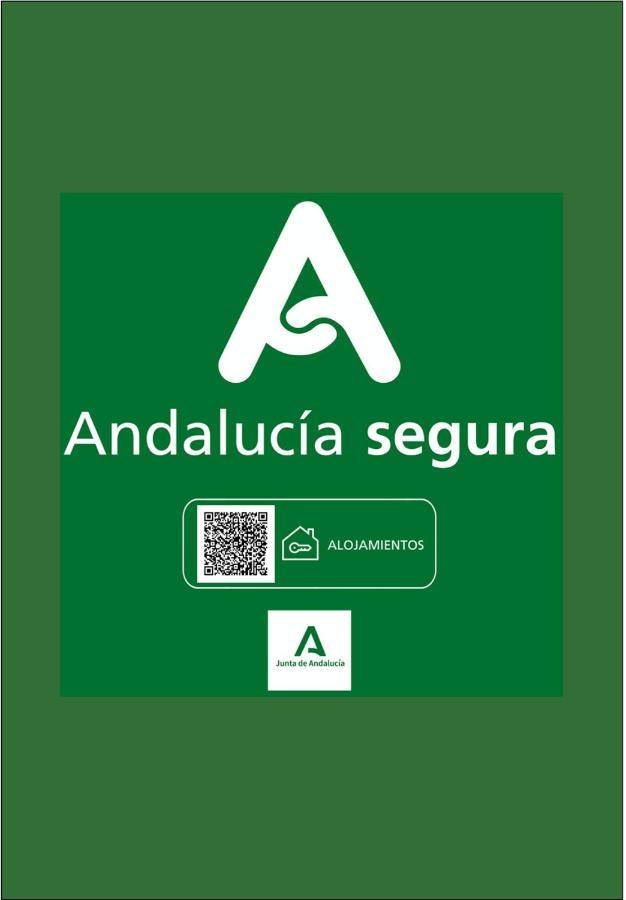 Holidays2Malaga Soho Penthouse Kültér fotó